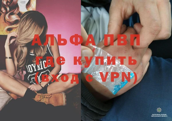 спиды Волоколамск