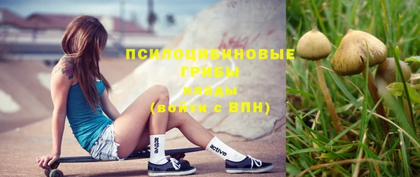 винт Вязники