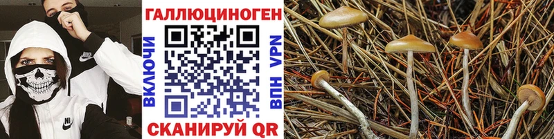Галлюциногенные грибы мухоморы  гидра маркетплейс  Топки 